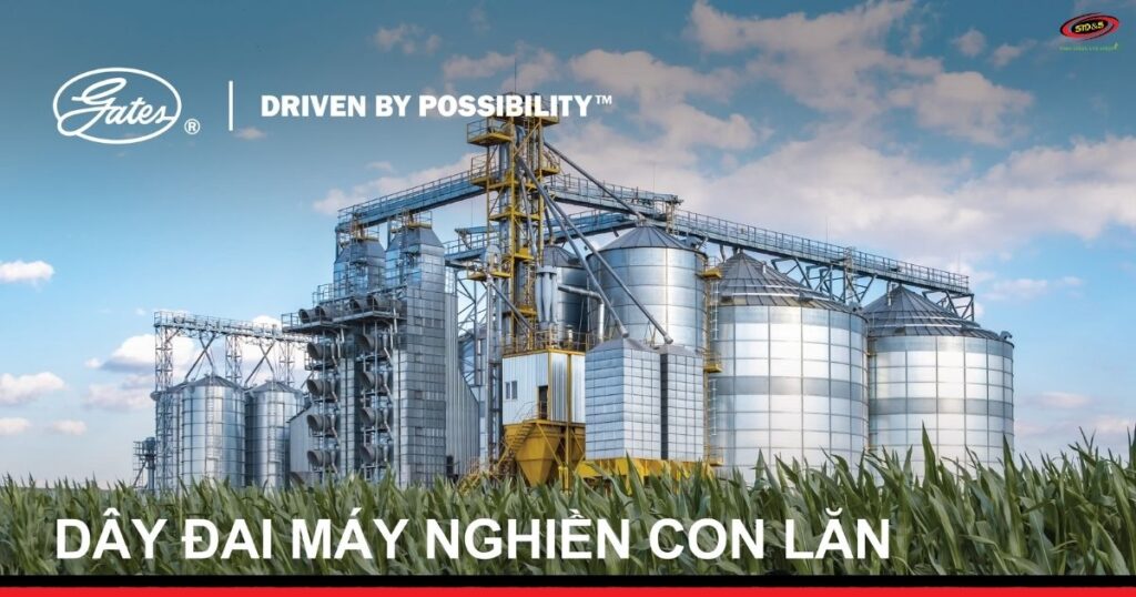 dây đai máy nghiền, con lăn