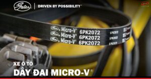 nhà phân phối dây đai gates