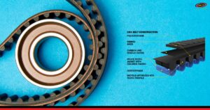 cấu tạo dây curoa răng